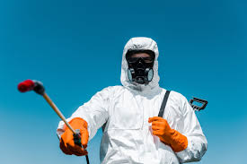 Best Bee and Wasp Removal  in Danvers, IL